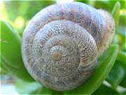 Entspannungstraining